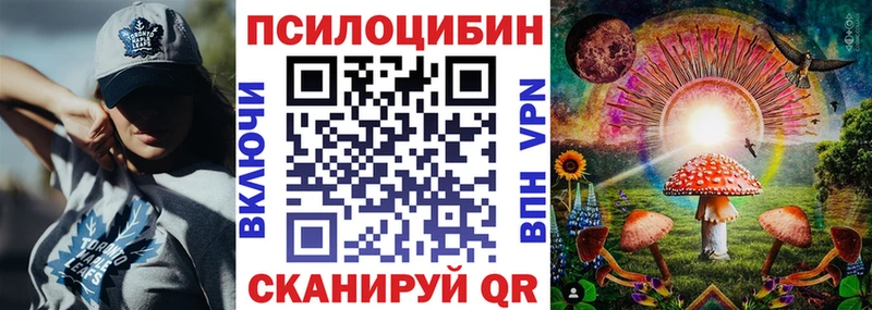 где можно купить Новокубанск blacksprut вход Псилоцибиновые грибы Magic Shrooms